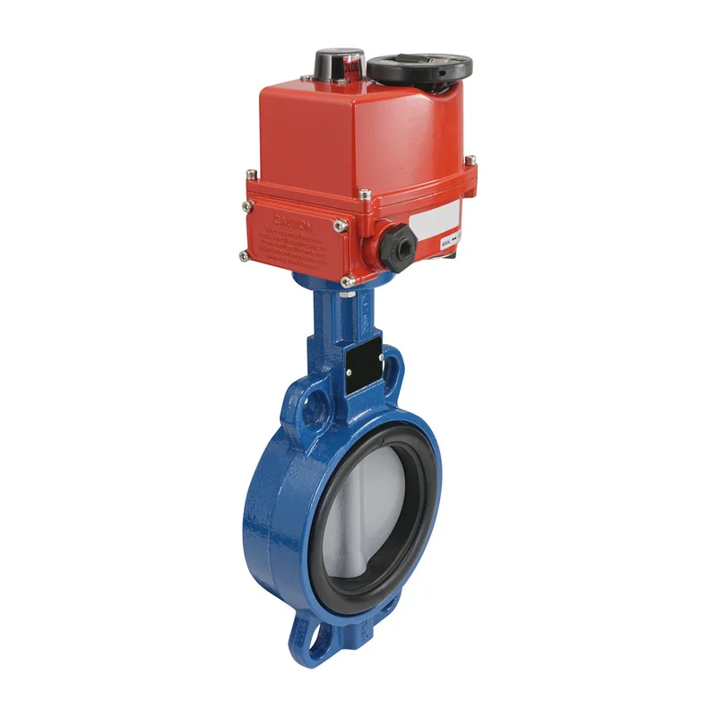 2026_07_19_2491336